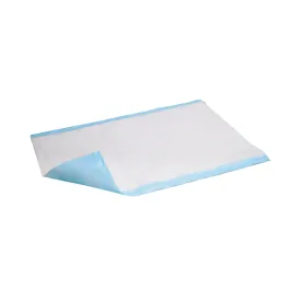 Economy Underpads Bluies (300)