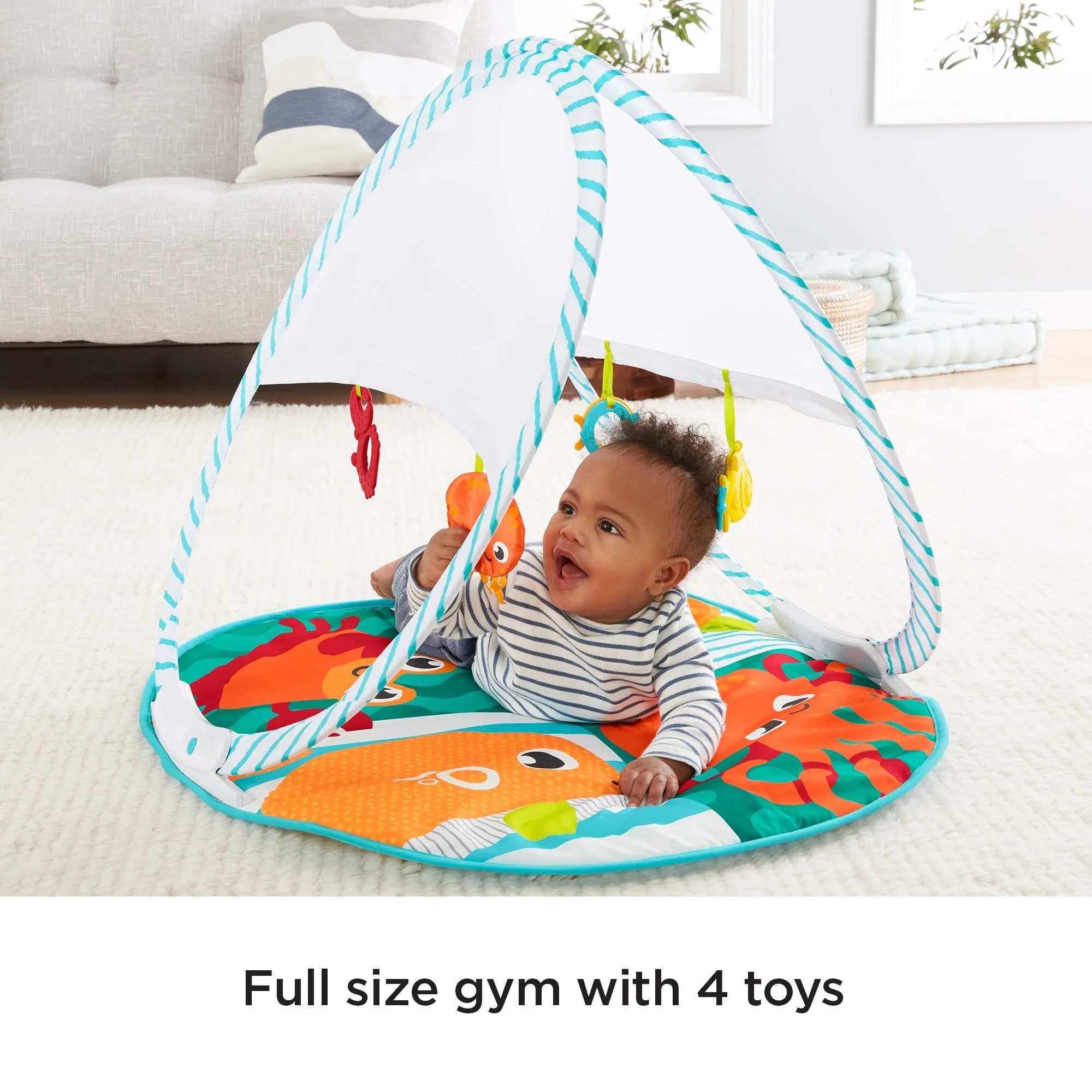 Fold & Go Portable Ocean-Themed Activity Gym