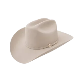 Stetson Hats 6x Adelante Felt Hat